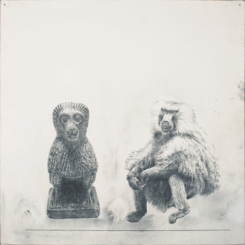 Baboon-Baboon, 2014  12 x 12” graphite, acrylic on canvas panel