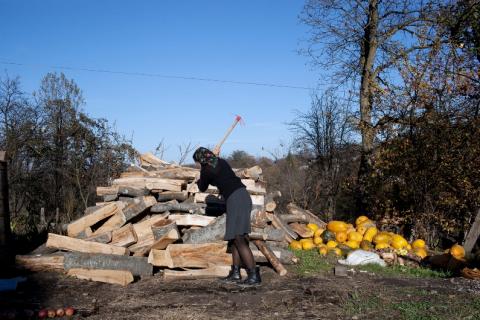 Splitting Wood with a Toy Axe
